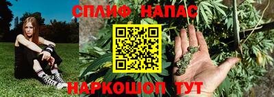 каннабис Новозыбков