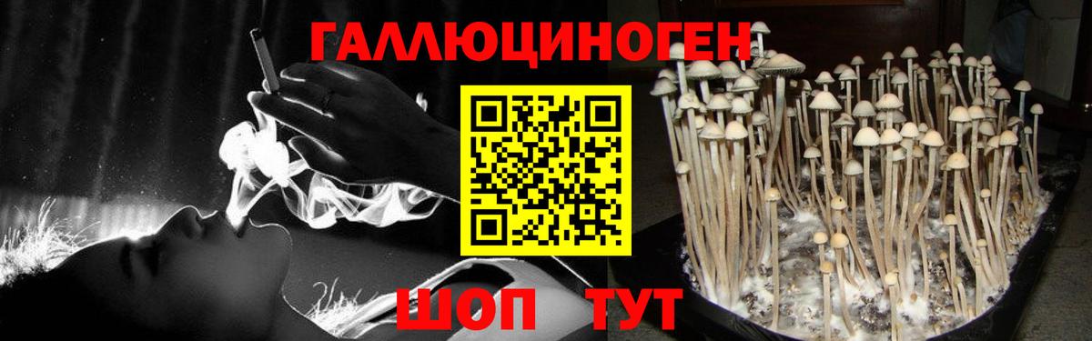 Муром  Псилоцибиновые грибы Psilocybe  Псилоцибиновые грибы GOLDEN TEACHER  Вход с VPN 